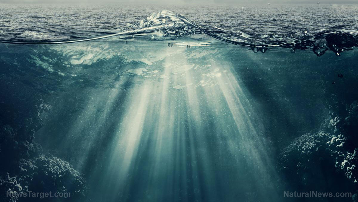 Image: Massive two-day underwater avalanche sprawls more than 600 miles across the Atlantic Ocean floor