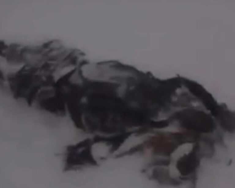 Winter Storm Grim Reality: Frozen Bodies Found Throughout New York ...