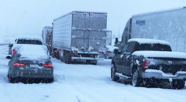 Tens of Thousands Without Electricity in California - Survive the News