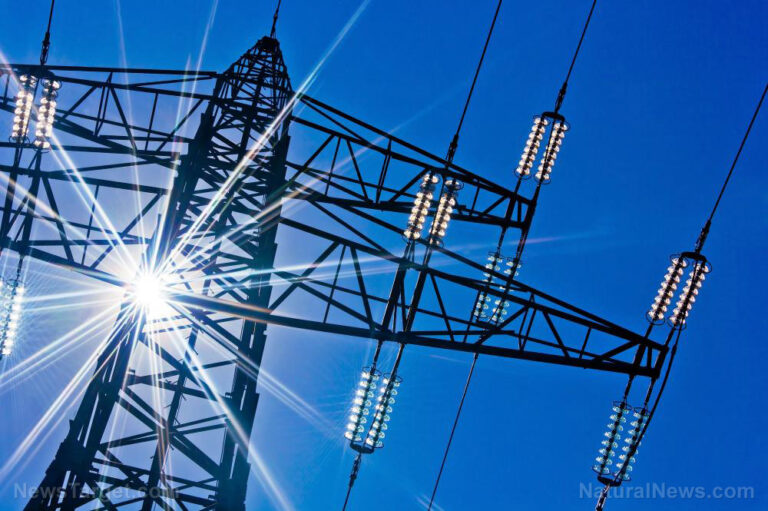 BLACKOUT WARNING: New York's zero emissions energy plan for 2040 will ...