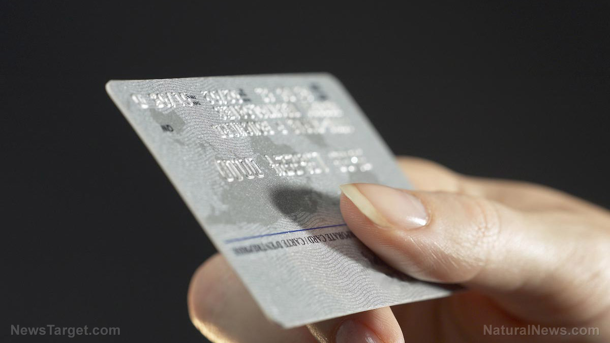 Business STOPS whenever electronic payment systems go down – because nearly everything is digital and internet-based these days – NaturalNews.com