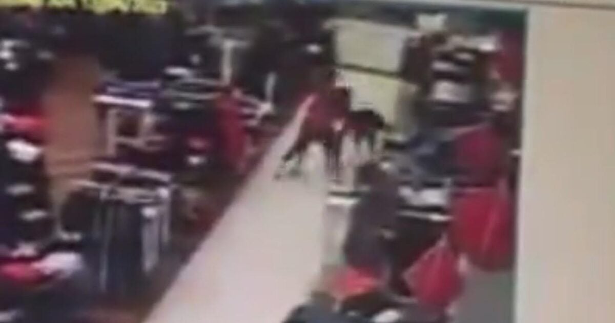 PHILLY: Macy's Security Guard Stabbed to Death by Suspect with Long Rap Sheet Trying to Steal Hats From Store (VIDEO) | The Gateway Pundit