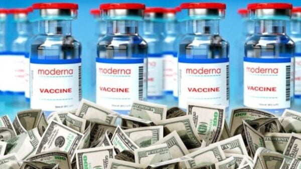 U.s. Will Pay Moderna $176 Million To Develop Mrna Bird Flu Vaccine 