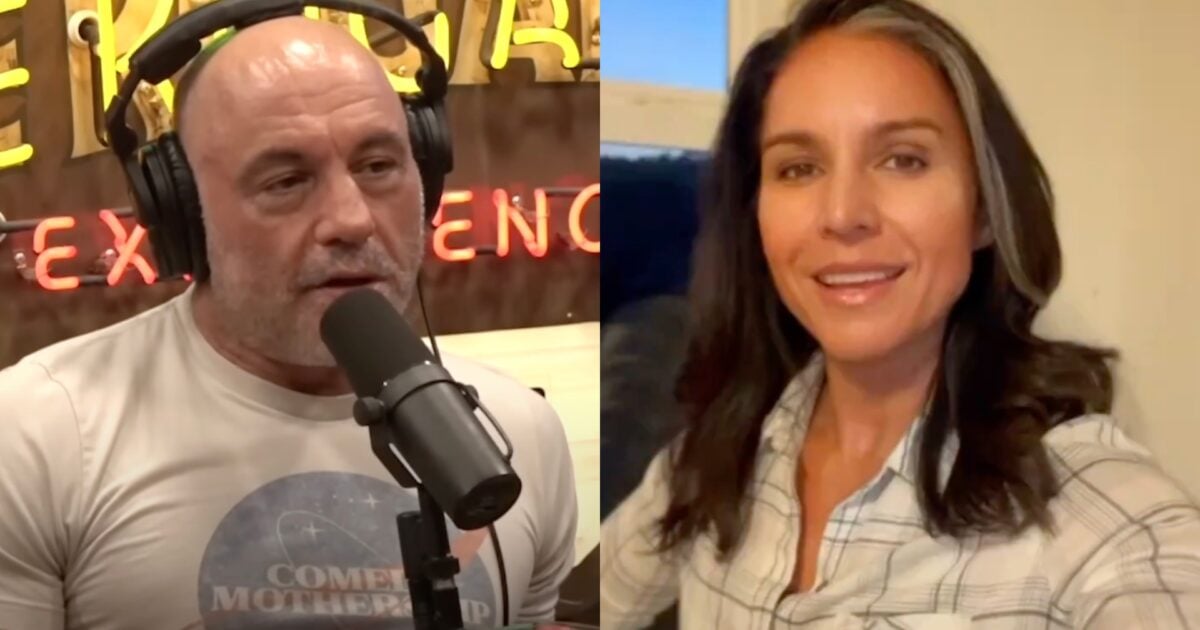 Tulsi Gabbard Exposes MSNBC as a Propaganda Machine for Democrat Elite — Deceptively Edits Joe Rogan Clip to Fabricate Support for Kamala Harris | The Gateway Pundit