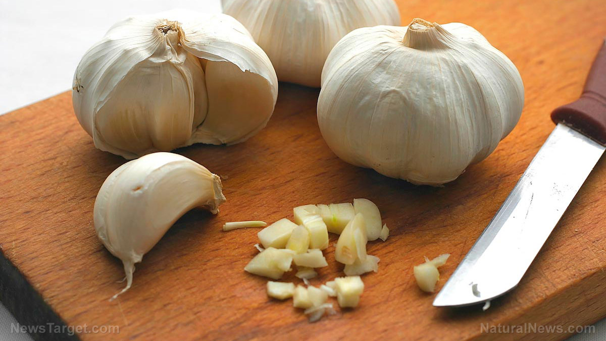 5 Remarkable ways GARLIC can support your health, according to science – NaturalNews.com