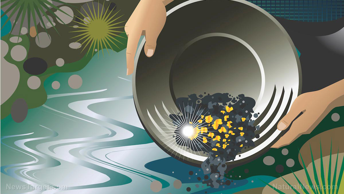 78 dead, 246 rescued in South Africa’s illegal mining disaster – NaturalNews.com