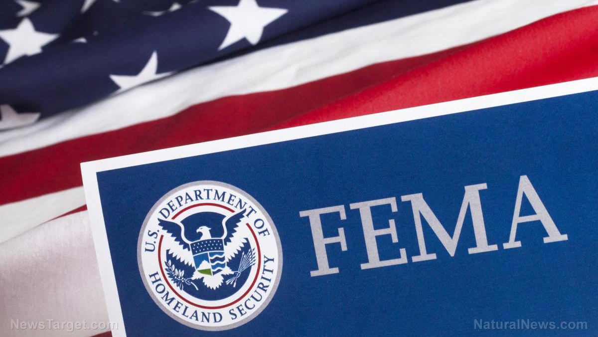 FEMA spends $59M on luxury hotels for illegal immigrants as disaster victims suffer – NaturalNews.com