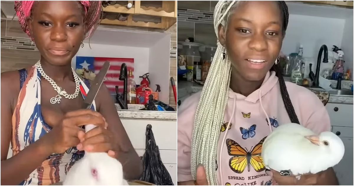 PURE EVIL: Woman Who TORTURED Animals Including Bunnies to Death for Clicks, Launches GoFundMe to Stop President Trump from Deporting Her | The Gateway Pundit