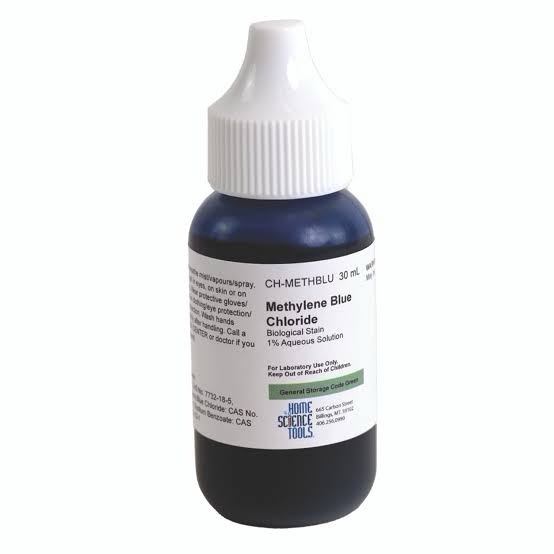 METHYLENE SHROOMS! 💙🍄💙 – December 23, 2025